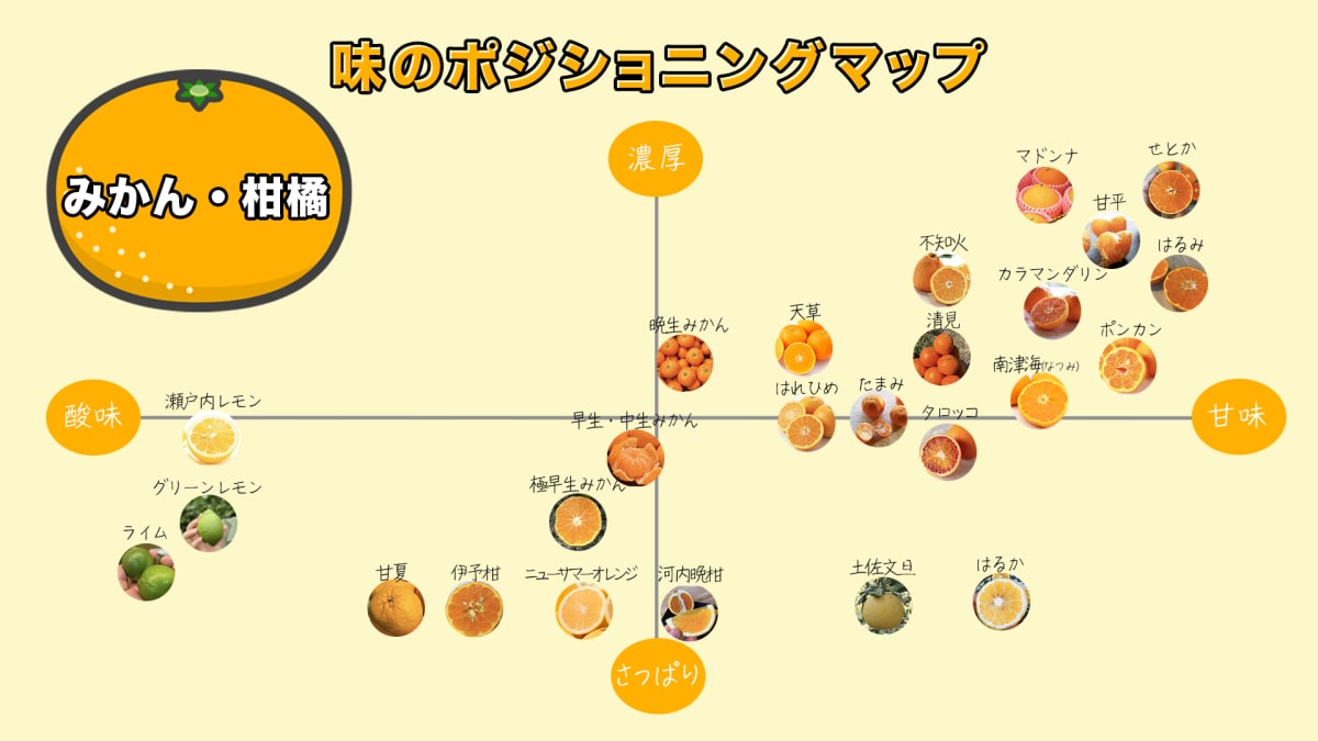 柑橘類の品種を「みかん類」「オレンジ類」「グレープフルーツ類」の三大系統に分類した見やすいイラスト図。温州みかんなど各代表品種がアイコンと共に紹介されている。