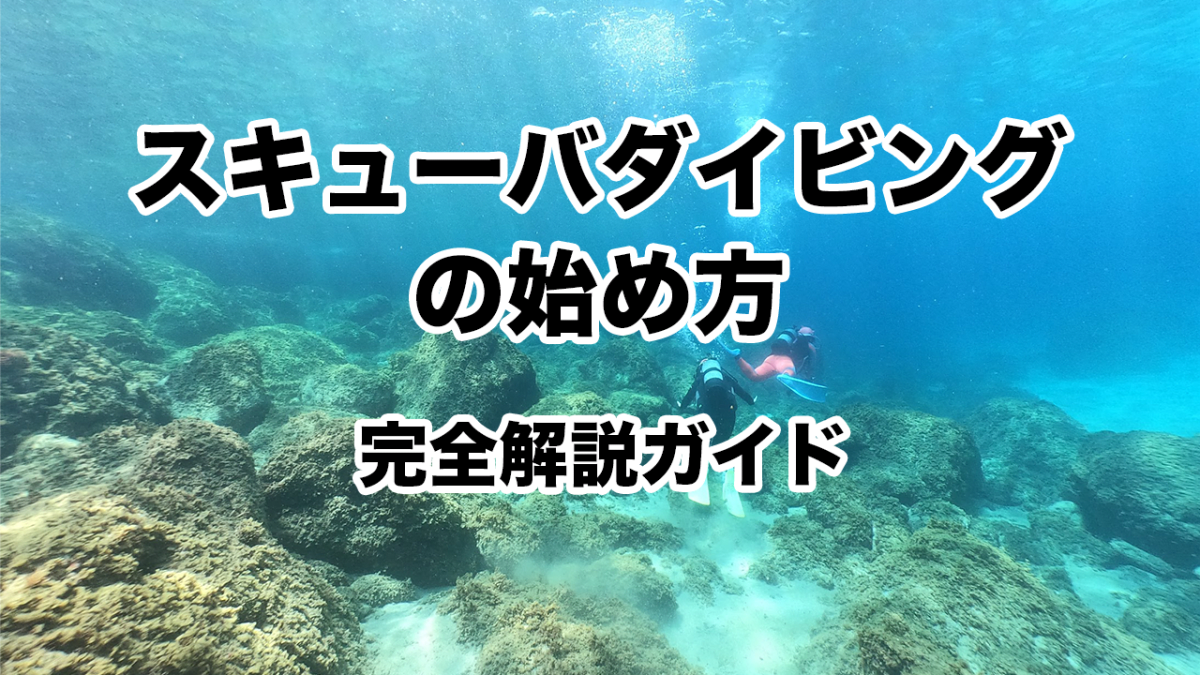 スキューバダイビングのライセンス講習で、インストラクターが生徒に合図を送る海洋実習の様子。青く明るい海で魚が泳ぐ。