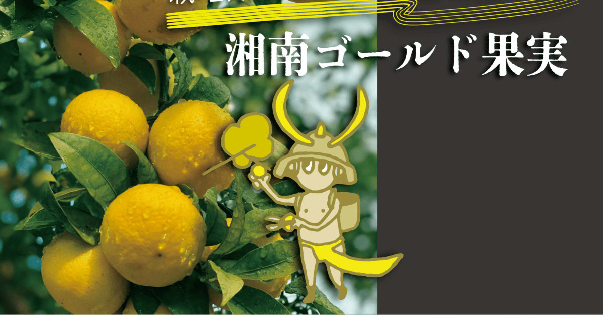 お腹を押さえ悩む表情の女性と、背景の鮮やかなみかん。「柑橘ウェルネス」が体の悩みを解決する効果を視覚的に表現。
